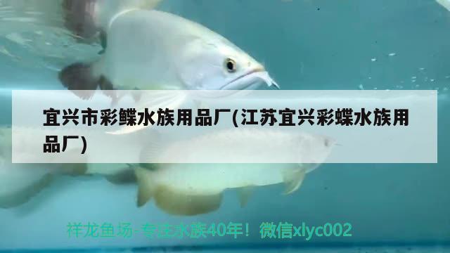 魚缸用什么顏色的燈好看(魚缸燈光什么顏色好看) 飛鳳魚