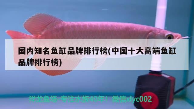 國內(nèi)知名魚缸品牌排行榜(中國十大高端魚缸品牌排行榜)