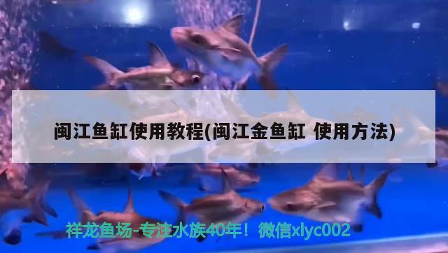 閩江魚缸使用教程(閩江金魚缸使用方法)