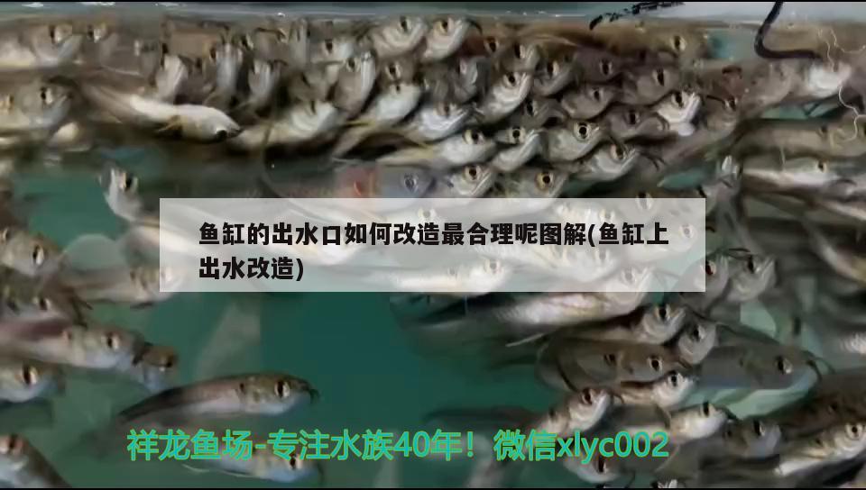 魚缸的出水口如何改造最合理呢圖解(魚缸上出水改造)