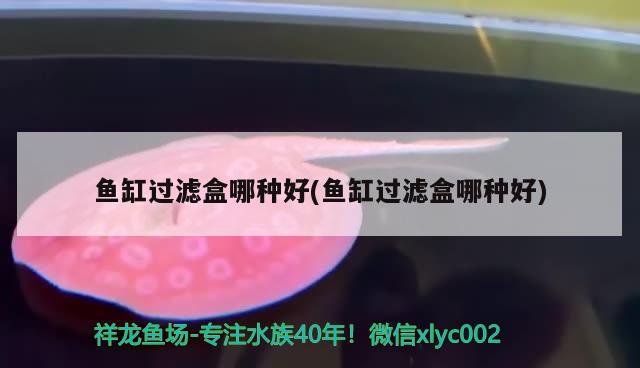 魚(yú)缸過(guò)濾盒哪種好(魚(yú)缸過(guò)濾盒哪種好) 印尼紅龍魚(yú)