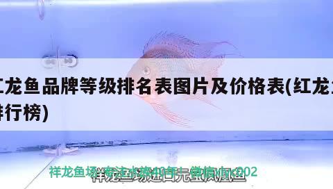 請(qǐng)教搬家魚缸怎么搬，魚缸帶部分水可以搬嗎