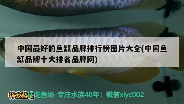 中國最好的魚缸品牌排行榜圖片大全(中國魚缸品牌十大排名品牌網(wǎng)) 帝王三間魚