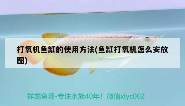 魚缸空氣泵原理圖片（魚缸為什么一開氧氣泵，魚就隨著被攪和的空） 可麗愛魚缸 第1張