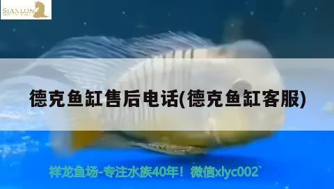 德克魚缸售后電話(德克魚缸客服) 水族雜談