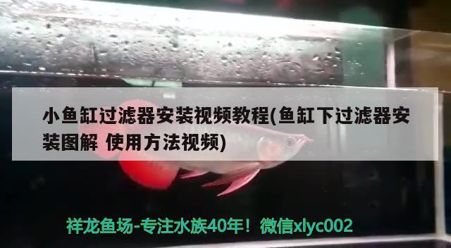 小魚缸過濾器安裝視頻教程(魚缸下過濾器安裝圖解使用方法視頻) 鐵甲武士