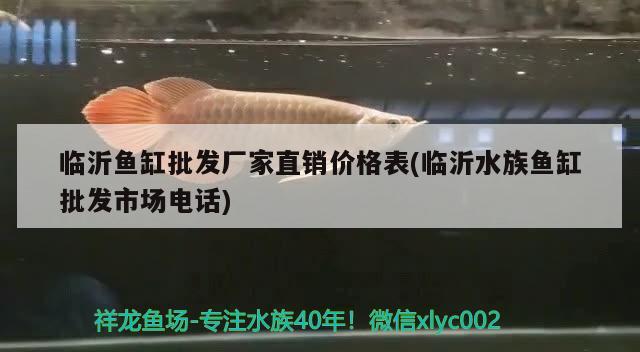 龍魚身上有黑色的小點（龍魚身上有黑色的小點是什么） 廣州龍魚批發(fā)市場 第2張