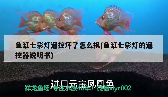 魚缸七彩燈遙控壞了怎么換(魚缸七彩燈的遙控器說明書)