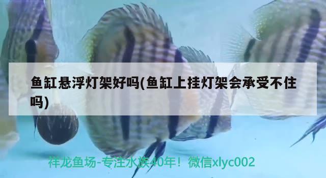 魚缸懸浮燈架好嗎(魚缸上掛燈架會(huì)承受不住嗎) 其他益生菌