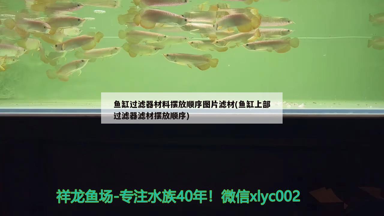 魚缸過濾器材料擺放順序圖片濾材(魚缸上部過濾器濾材擺放順序)