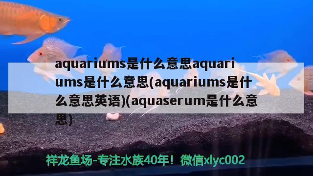 aquariums是什么意思aquariums是什么意思(aquariums是什么意思英語(yǔ))(aquaserum是什么意思)