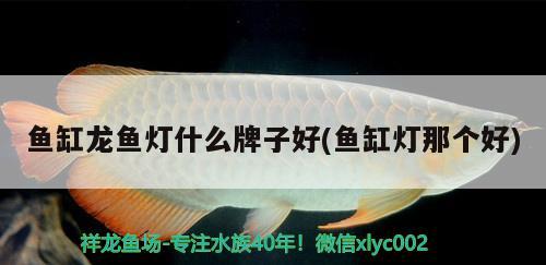 自制小型魚缸過濾器視頻教程大全（自制小型魚缸過濾器視頻教程大全圖片） 魚糧魚藥