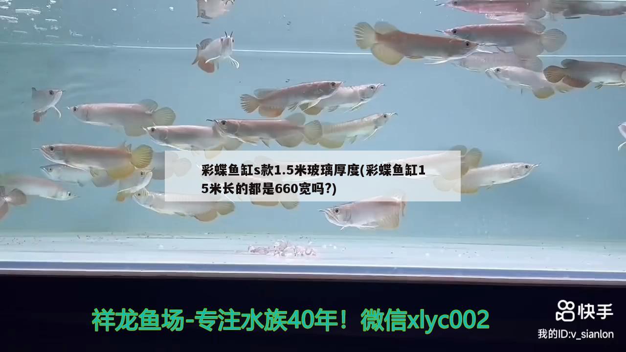 礦泉水瓶制作魚(yú)缸過(guò)濾器教程：礦泉水瓶制作魚(yú)缸過(guò)濾器教程圖片