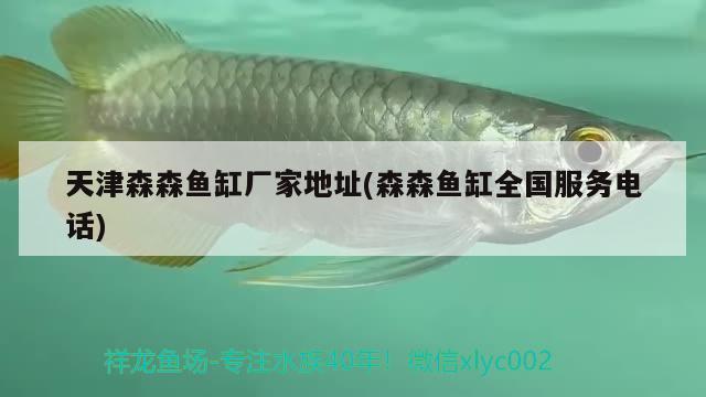 天津森森魚缸廠家地址(森森魚缸全國(guó)服務(wù)電話)