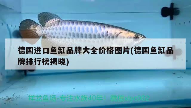 德國進口魚缸品牌大全價格圖片(德國魚缸品牌排行榜揭曉) 除藻劑