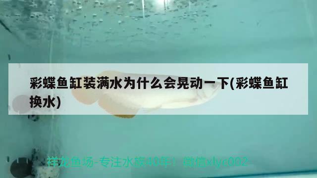 彩蝶魚缸裝滿水為什么會晃動一下(彩蝶魚缸換水) 祥龍龍魚專用水族燈