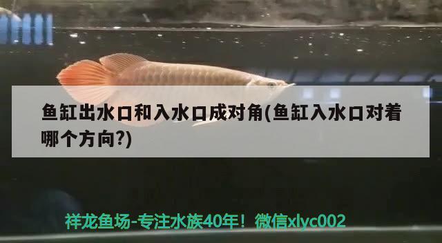 魚缸出水口和入水口成對(duì)角(魚缸入水口對(duì)著哪個(gè)方向?)