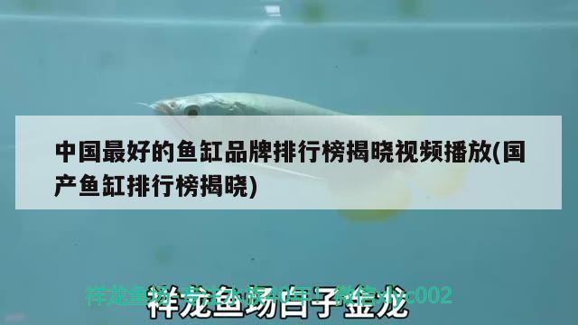 玻璃貓魚(yú)怎么喂食，玻璃貓魚(yú)最少養(yǎng)幾條魚(yú)呢