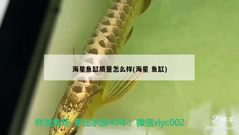 海星魚(yú)缸質(zhì)量怎么樣(海星魚(yú)缸) 財(cái)神鸚鵡魚(yú)