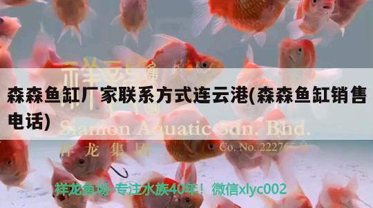 菠蘿魚能和銀龍魚混養(yǎng)嘛（菠蘿魚能和銀龍魚混養(yǎng)嘛視頻） 銀龍魚 第2張