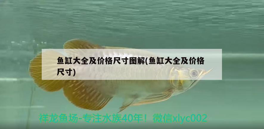 魚缸大全及價(jià)格尺寸圖解(魚缸大全及價(jià)格尺寸) 黃金貓魚百科