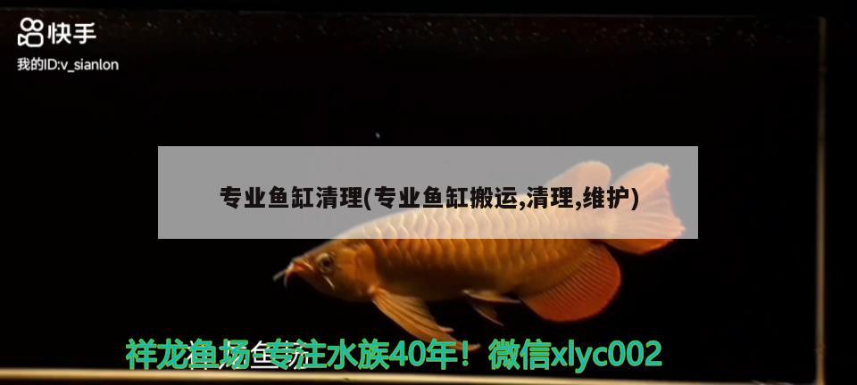 專業(yè)魚缸清理(專業(yè)魚缸搬運,清理,維護)