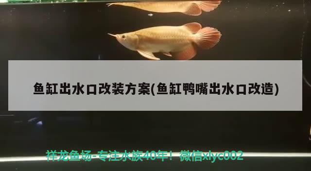 魚缸出水口改裝方案(魚缸鴨嘴出水口改造)