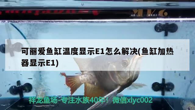 可麗愛魚缸溫度顯示E1怎么解決(魚缸加熱器顯示E1) 一眉道人魚