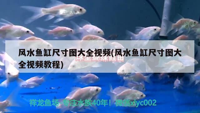 風水魚缸尺寸圖大全視頻(風水魚缸尺寸圖大全視頻教程) 魚缸風水