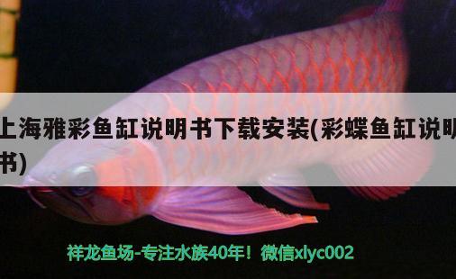 上海雅彩魚缸說明書下載安裝(彩蝶魚缸說明書) 黃金斑馬魚 第2張