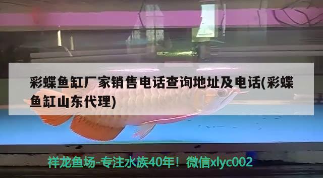 錦鯉魚缸水渾濁怎么變清（錦鯉魚缸水渾濁怎么過濾） 白子銀版魚 第2張