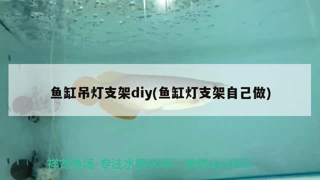 魚缸吊燈支架diy(魚缸燈支架自己做) 印尼虎苗