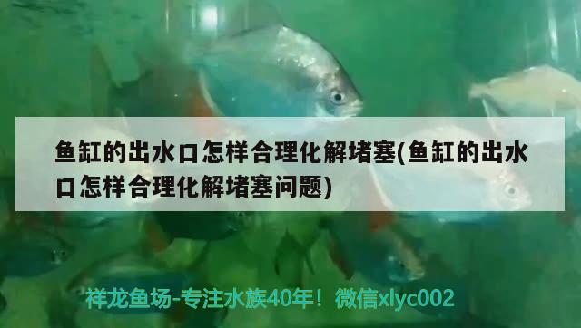 魚缸的出水口怎樣合理化解堵塞(魚缸的出水口怎樣合理化解堵塞問題)