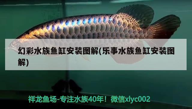 幻彩水族魚缸安裝圖解(樂事水族魚缸安裝圖解) 古典過背金龍魚