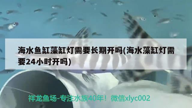 海水魚缸藻缸燈需要長期開嗎(海水藻缸燈需要24小時(shí)開嗎)