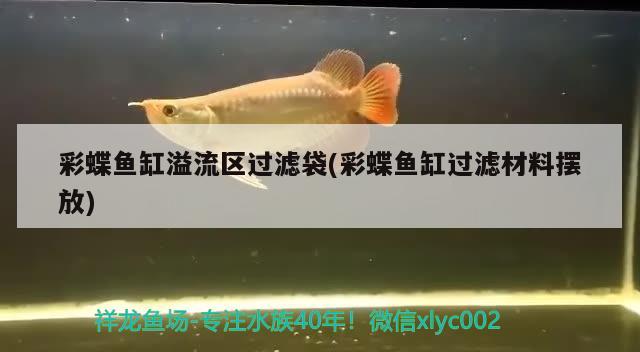 彩蝶魚(yú)缸溢流區(qū)過(guò)濾袋(彩蝶魚(yú)缸過(guò)濾材料擺放) 翡翠鳳凰魚(yú)