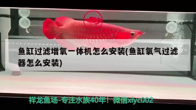 魚缸過濾增氧一體機怎么安裝(魚缸氧氣過濾器怎么安裝) 魟魚百科