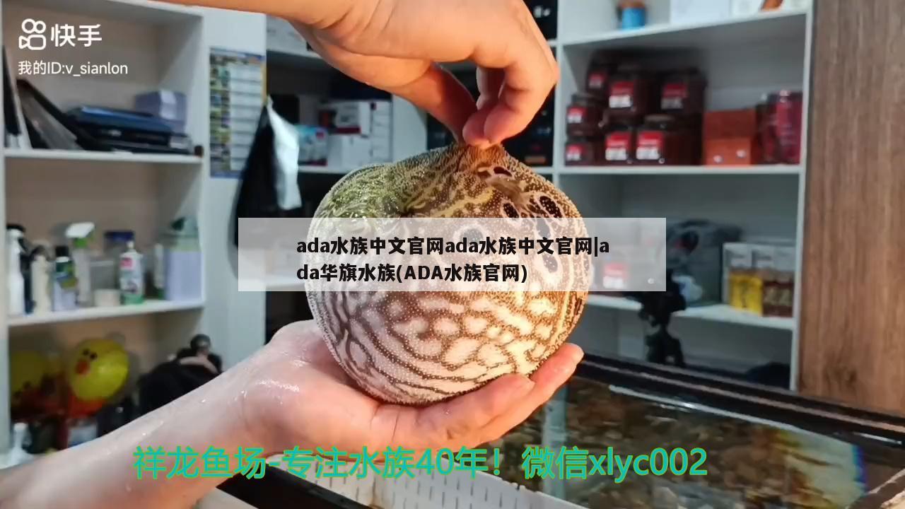 龍魚身上有白色絮狀物怎么辦啊吃什么藥好（龍魚眼睛外長了一小白點是怎么回事） 狗仔（招財貓)魚苗 第2張