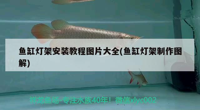 魚缸燈架安裝教程圖片大全(魚缸燈架制作圖解) 元寶鳳凰魚百科