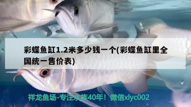 魚缸水族箱怎么安裝的圖解(魚缸水族箱怎么安裝的圖解圖片) 魚缸/水族箱