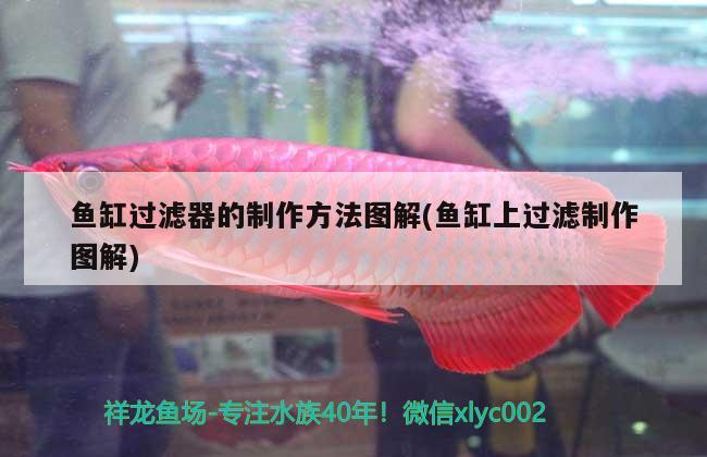 張家口水族維護(hù)（張家口海洋水族館） 養(yǎng)魚知識 第3張