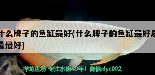 什么牌子的魚缸最好(什么牌子的魚缸最好質(zhì)量最好) 龍魚批發(fā)