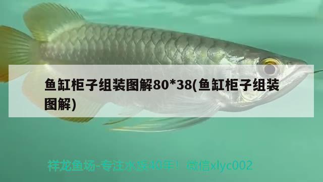 魚缸柜子組裝圖解80 廣州觀賞魚批發(fā)市場