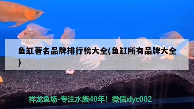 魚缸著名品牌排行榜大全(魚缸所有品牌大全)