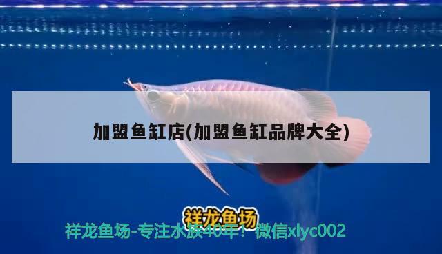 加盟魚缸店(加盟魚缸品牌大全)