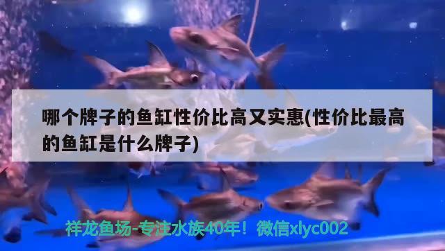 哪個(gè)牌子的魚(yú)缸性?xún)r(jià)比高又實(shí)惠(性?xún)r(jià)比最高的魚(yú)缸是什么牌子)