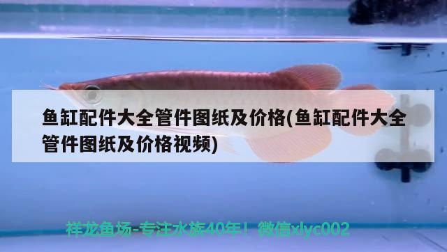 魚缸配件大全管件圖紙及價(jià)格(魚缸配件大全管件圖紙及價(jià)格視頻)