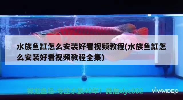 ERROR，浙江魚缸哪家公司做的質(zhì)量比較好