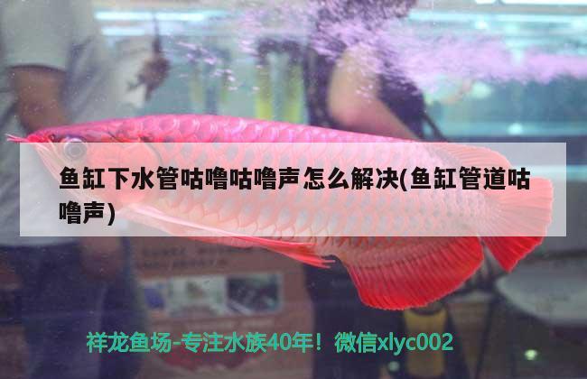 魚(yú)缸下水管咕嚕咕嚕聲怎么解決(魚(yú)缸管道咕嚕聲) 金三間魚(yú)