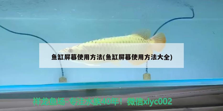 魚缸屏幕使用方法(魚缸屏幕使用方法大全) 過濾設(shè)備